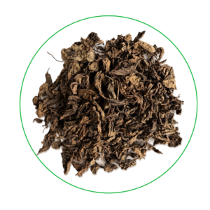 Tea Oasis Mint