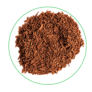 product-image-avocado-seed