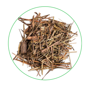 Tea Oasis Naturals - Lemon Grass Tea