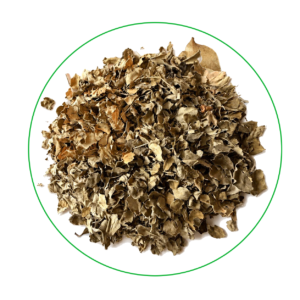 Moringa Tea