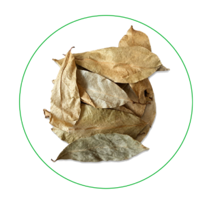 Tea Oasis Naturals Soursop Leaves